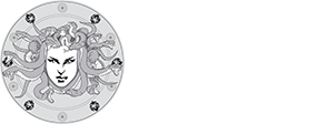 Aegis Security Solutions | New York Logo